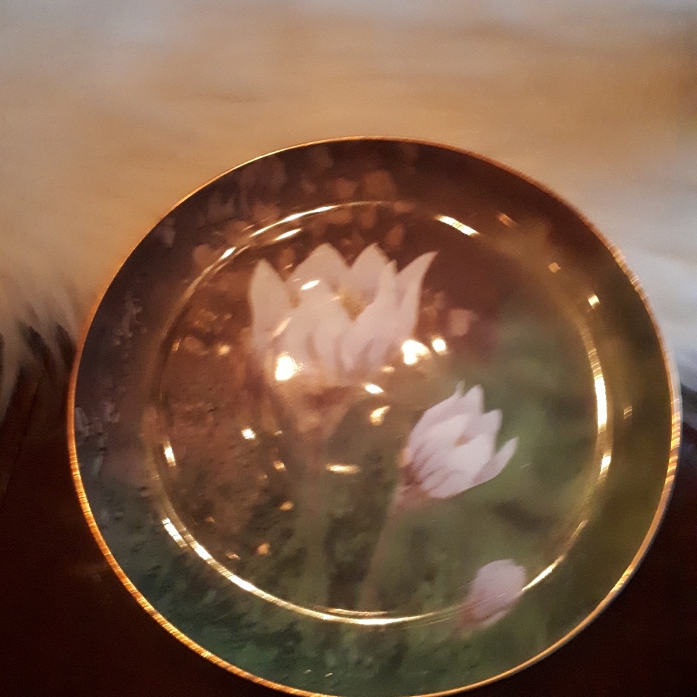 Collector plates. - Picture 3 of 9